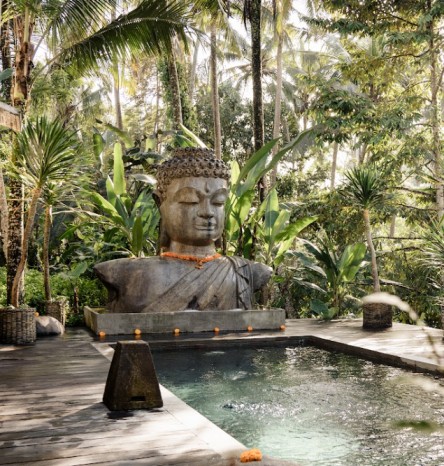 Retreat in Bali